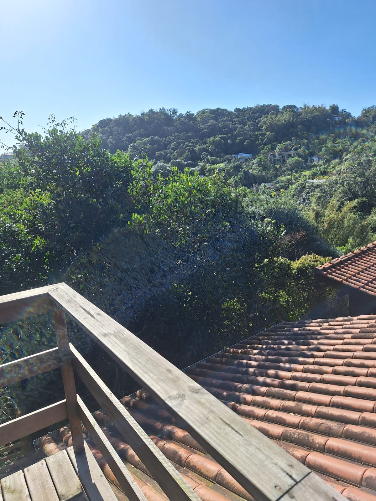 Bangalô Rosa Norte — foto 8